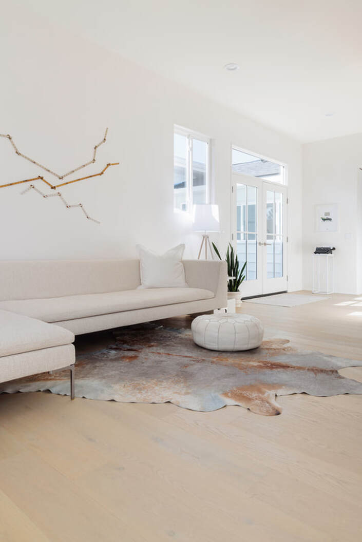 Minimalist modern remodel and addition, living room sofa